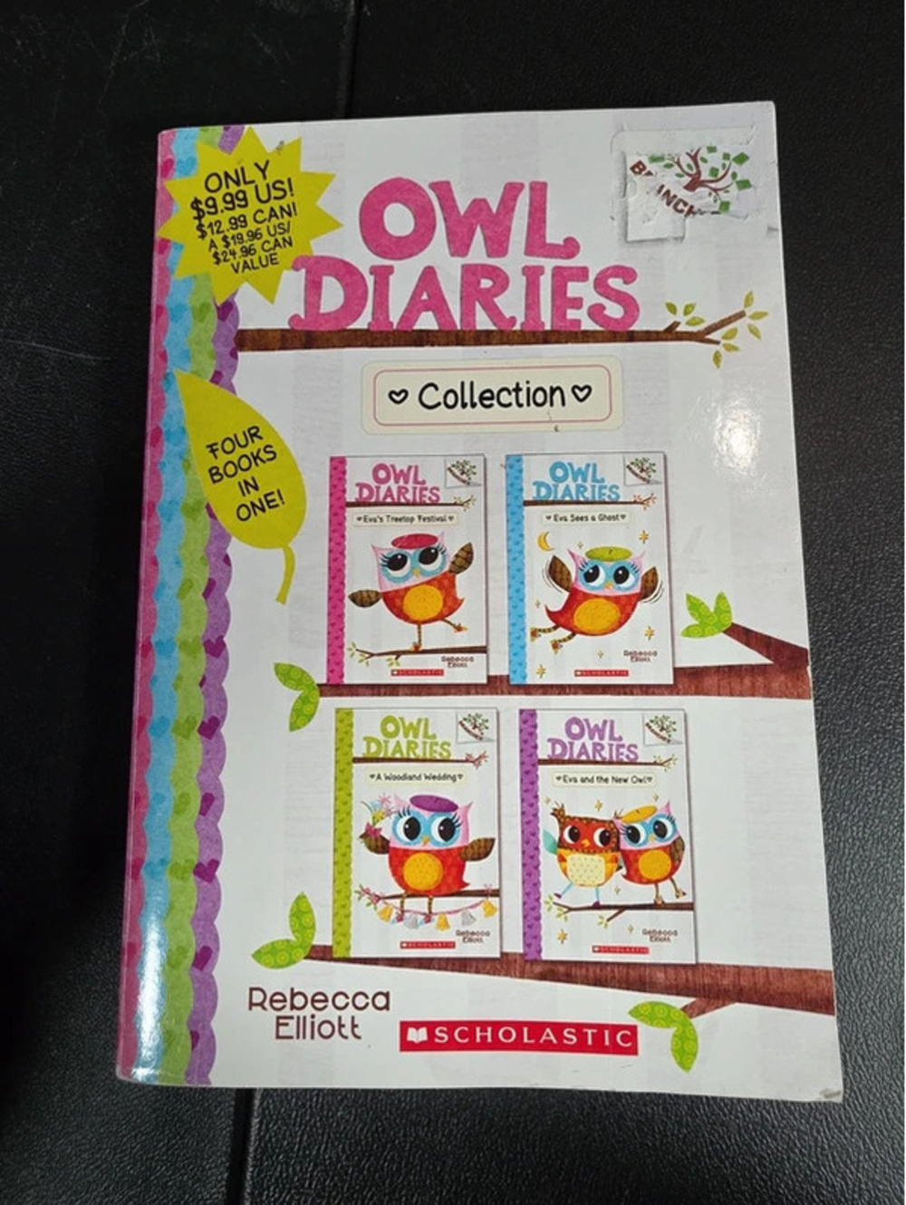 Owl diaries